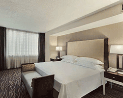 Hilton-Salt-Lake-City--Guestroom