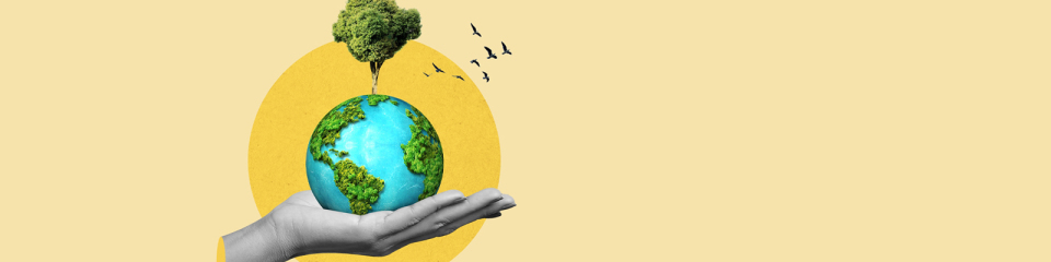 When the Beach Disappeared: Sustainability as a Business Strategy
