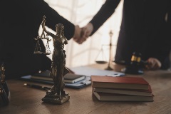 Lawyers Professional Liability